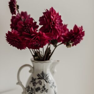 Crimson Dahlia