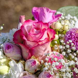 fucsia-detalle