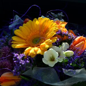 cumpleanos-gerbera