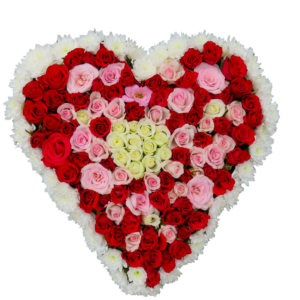 rosas-mixtas