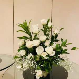 elegante-sympathy