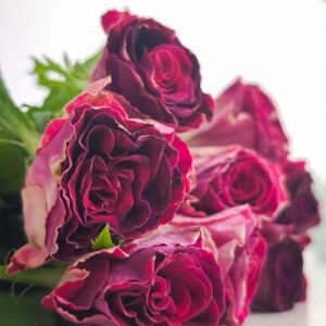 rosas-vino