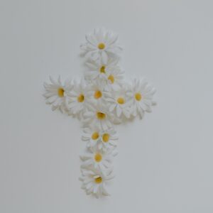 cruz-sympathy