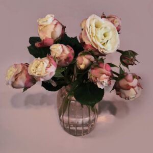 rosa-artistico