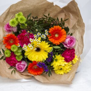 gerbera-multicolor
